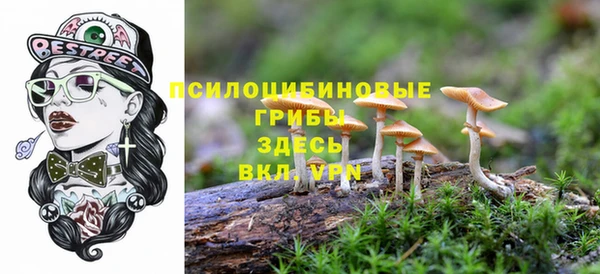 стафф Армянск