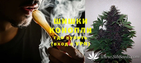 гидра Алексеевка